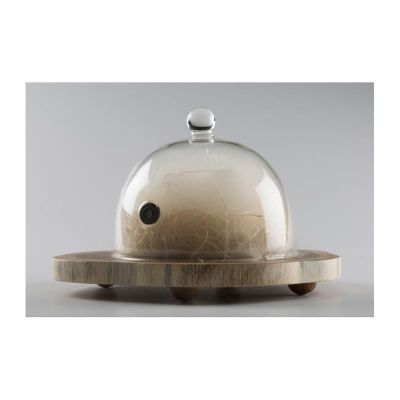 100% Chef Aladin Cam Fanus, 18 cm, 6 Adet