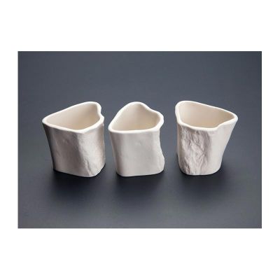 100% Chef - 100% Chef Bone Terrine Porselen Sunum Kalıbı, 50 ml, 3 Adet (1)