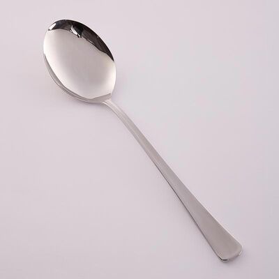 Dizdar - Dizdar Monoblok Servis Kaşık, 26.5 cm