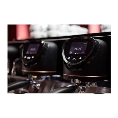 Gaggia La Reale Tall Cup Yarı Otomatik Espresso Kahve Makinesi, 2 Gruplu, Gri-Bakır