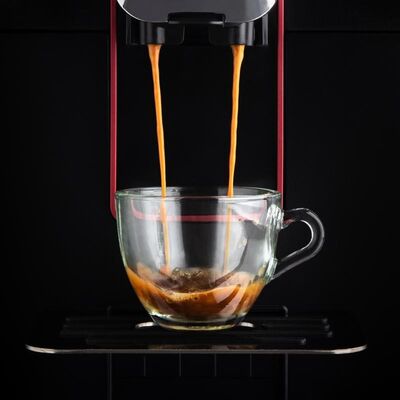 Gaggia RI8701/01 Magenta Milk Tam Otomatik Kahve Makinesi
