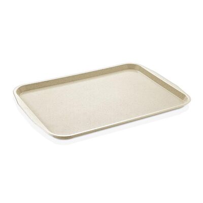Gastrolley - Gastrolley Kırçıllı ABS Servis Tepsisi, 37x53 cm