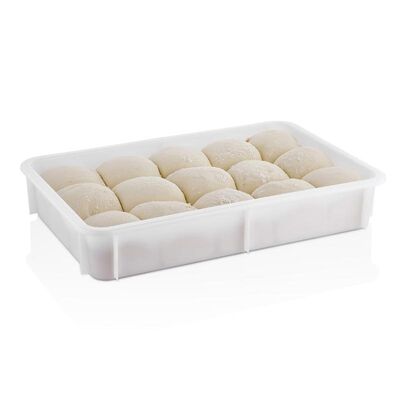 GastroPlast - GastroPlast GPH-100 Pizza Hamur Teknesi, 400x600x100 mm (1)