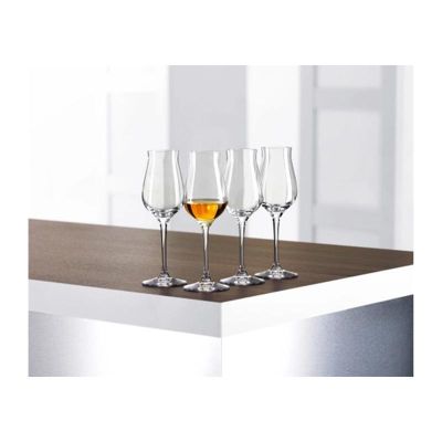 Spiegelau Authentis Digestive Kokteyl Bardağı, 170 ml