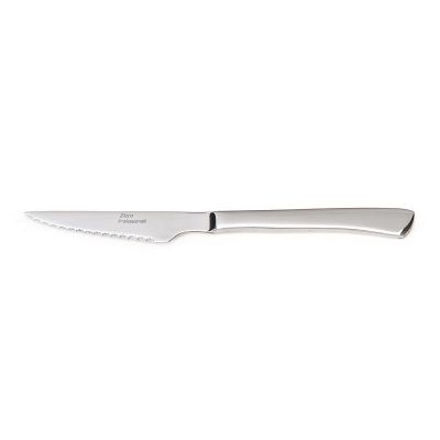 Zicco ZB-01 Çelik Saplı Steak Bıçağı, 22 cm