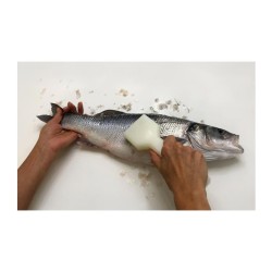 Türkay Balık Pulu Temizleyici, 20x7x2.5 cm - Thumbnail